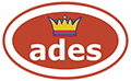 ICS logo